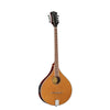 BOUZOUKI IRLANDESE SOUNDSATION  SBOU-20E CON BORSA