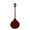 BOUZOUKI IRLANDESE SOUNDSATION  SBOU-20E CON BORSA
