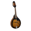 MANDOLINO SOUNDSATION  BLUEGRASS BMA-60E  VS SUNBURST + PICKUP