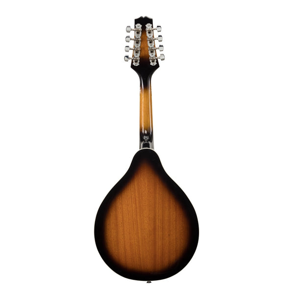 MANDOLINO SOUNDSATION  BLUEGRASS BMA-60E  VS SUNBURST + PICKUP