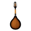 MANDOLINO SOUNDSATION  BLUEGRASS BMA-60E  VS SUNBURST + PICKUP