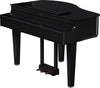 ROLAND GP6 PE