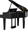 ROLAND GP6 PE