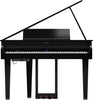 ROLAND GP6 PE