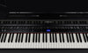 ROLAND GP6 PE