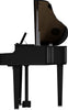 ROLAND GP6 PE