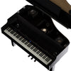 ROLAND GP6 PE