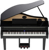 ROLAND GP6 PE