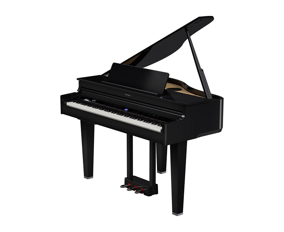 ROLAND GP6 PE