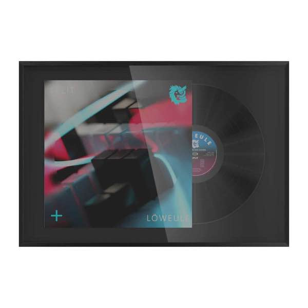 Glorious Record Display Frame