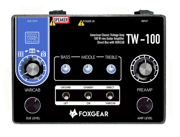 TW-100  - Amplificatore per chitarra a pedale 100w
