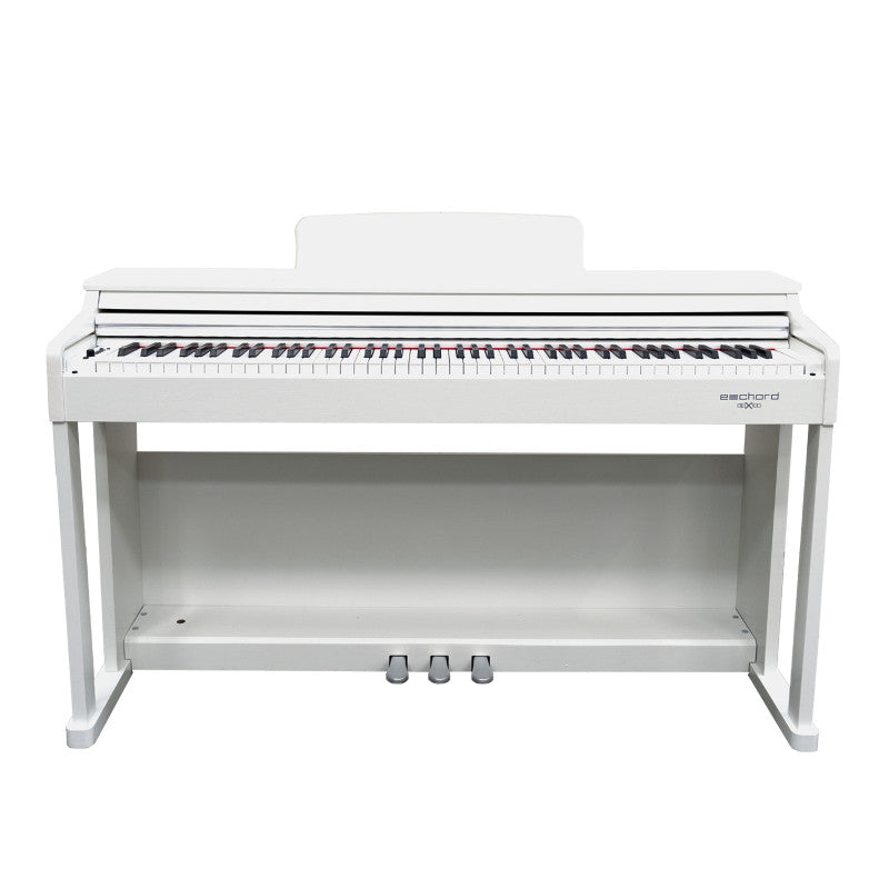 ECHORD Dpx100 W White