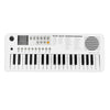 ECHORD SK37 MiniKeyboard White
