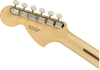 FENDER American Performer Stratocaster® RW Honey Burst