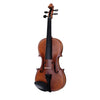 SOUNDSATION Violino Virtuoso Pro 4/4