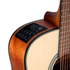 TAKAMINE GLD12 ENS
